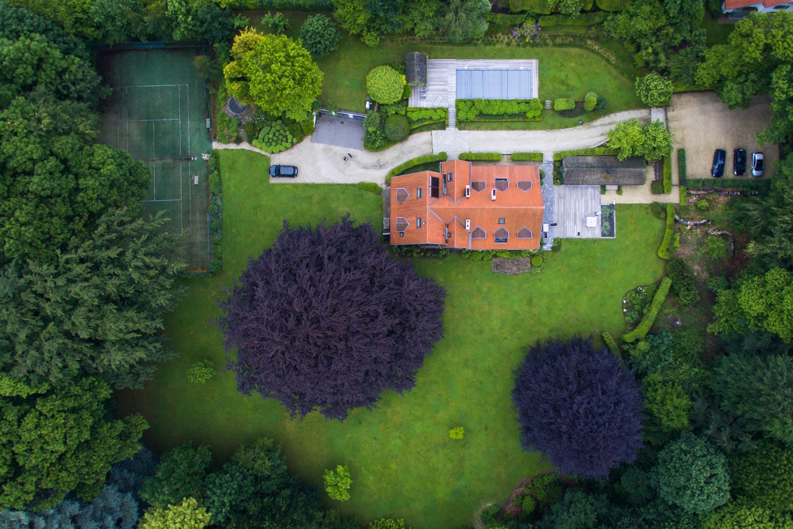 Homesite from above